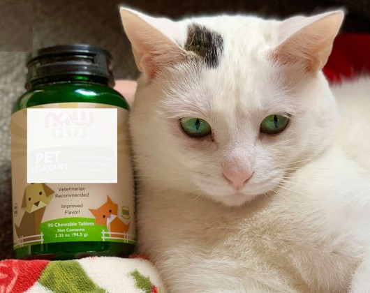 Vitamines, minéraux et compléments pour chat - Danger d'une overdose